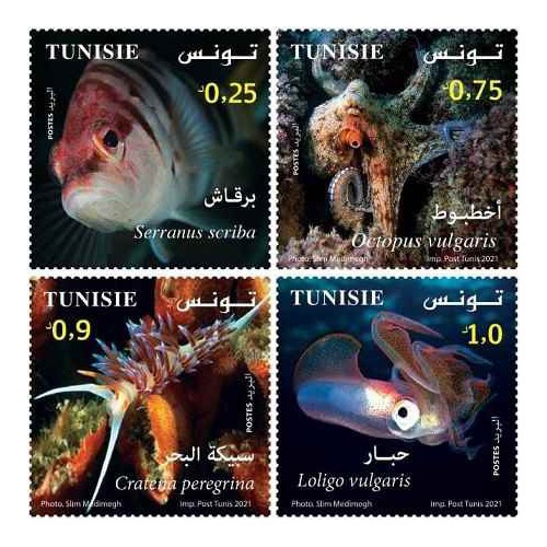 4 عدد تمبر زیست دریائی در تونس - تونس 2021