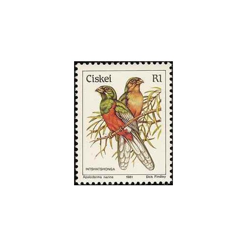 1 عدد تمبر سری پستی پرندگان - R1 -  آفریقای جنوبی - سیسکی 1981 قیمت 2.9 دلار