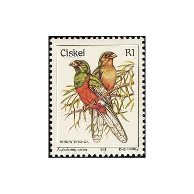 1 عدد تمبر سری پستی پرندگان - R1 -  آفریقای جنوبی - سیسکی 1981 قیمت 2.9 دلار