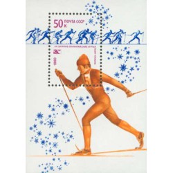 مینی شیت بازی های المپیک زمستانی - لیک پلاسید، ایالات متحده آمریکا - شوروی 1980
