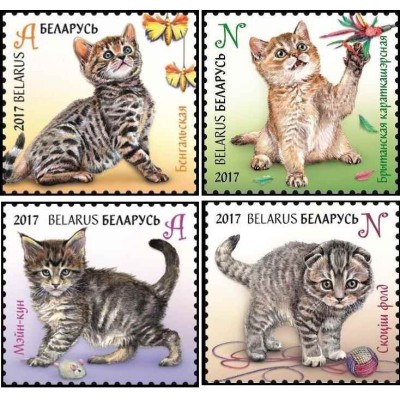 4 عدد تمبر فیلاتلی کودکان - بچه گربه ها - بلاروس 2013 قیمت 4.2 دلار