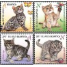 4 عدد تمبر فیلاتلی کودکان - بچه گربه ها - بلاروس 2013 قیمت 4.2 دلار