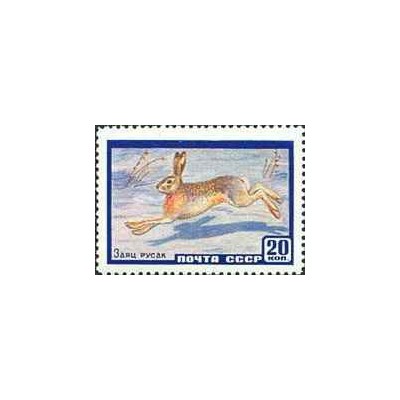 1 عدد تمبر حیوانات اتحاد جماهیر شوروی  - شوروی 1960