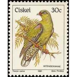 1 عدد تمبر سری پستی پرندگان - 30c -  آفریقای جنوبی - سیسکی 1981
