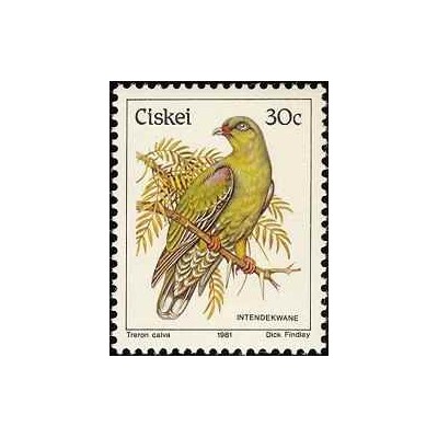 1 عدد تمبر سری پستی پرندگان - 30c -  آفریقای جنوبی - سیسکی 1981