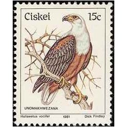 1 عدد تمبر سری پستی پرندگان - 15c -  آفریقای جنوبی - سیسکی 1981