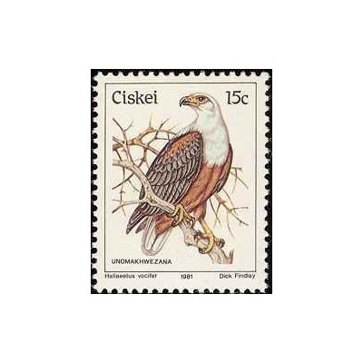 1 عدد تمبر سری پستی پرندگان - 15c -  آفریقای جنوبی - سیسکی 1981