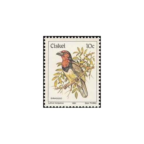 1 عدد تمبر سری پستی پرندگان - 10c -  آفریقای جنوبی - سیسکی 1981