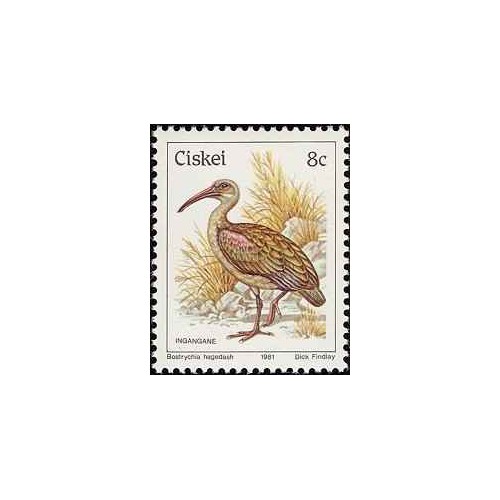 1 عدد تمبر سری پستی پرندگان - 8c -  آفریقای جنوبی - سیسکی 1981