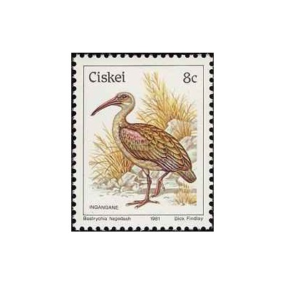 1 عدد تمبر سری پستی پرندگان - 8c -  آفریقای جنوبی - سیسکی 1981