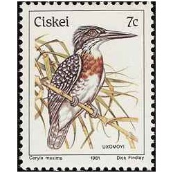 1 عدد تمبر سری پستی پرندگان - 7c -  آفریقای جنوبی - سیسکی 1981