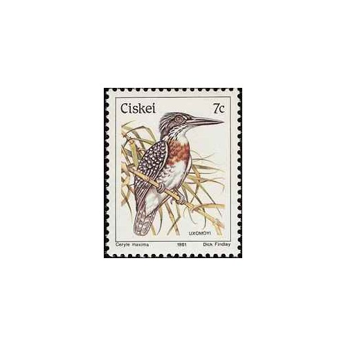1 عدد تمبر سری پستی پرندگان - 7c -  آفریقای جنوبی - سیسکی 1981