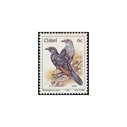 1 عدد تمبر سری پستی پرندگان - 6c -  آفریقای جنوبی - سیسکی 1981