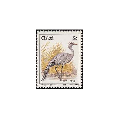 1 عدد تمبر سری پستی پرندگان - 5c -  آفریقای جنوبی - سیسکی 1981