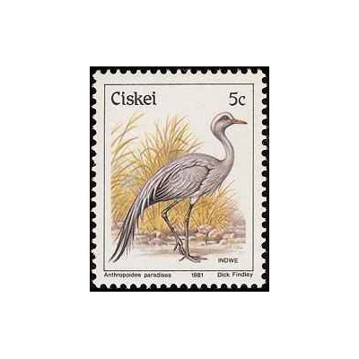 1 عدد تمبر سری پستی پرندگان - 5c -  آفریقای جنوبی - سیسکی 1981