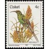 1 عدد تمبر سری پستی پرندگان - 4c -  آفریقای جنوبی - سیسکی 1981