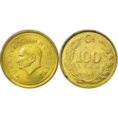 سکه  100 لیر - الومینیوم برنز - ترکیه 1991 غیر بانکی
