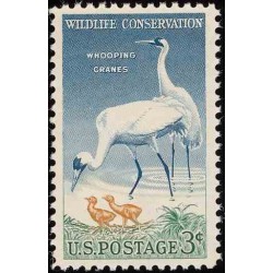 1 عدد تمبر حفاظت از حیات وحش  - آمریکا 1957