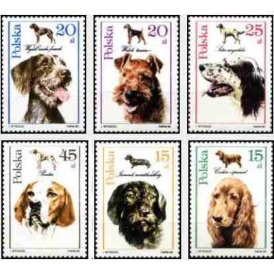 6 عدد تمبر سگ ها - لهستان 1989
