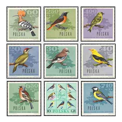 9 عدد تمبر پرندگان جنگل - لهستان 1966