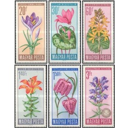 6 عدد  تمبر گل های محافظت شده - مجارستان 1966