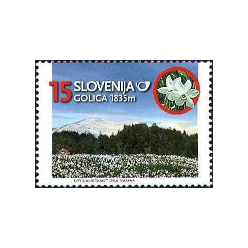 1 عدد تمبر کوهستان - اسلوونی 1999