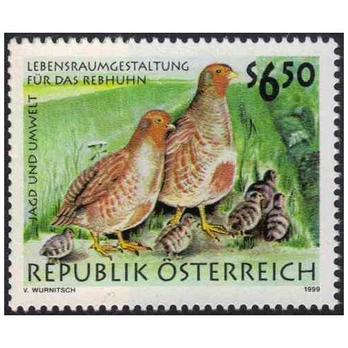 1 عدد تمبر پرندگان - شکار و محیط - اتریش 1999