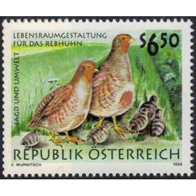 1 عدد تمبر پرندگان - شکار و محیط - اتریش 1999