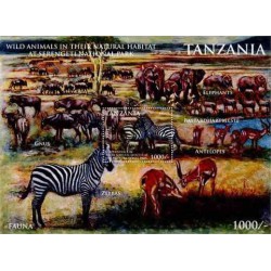 سونیرشیت حیوانات وحشی در پارک بین المللی سرنگتی - تانزانیا 2011