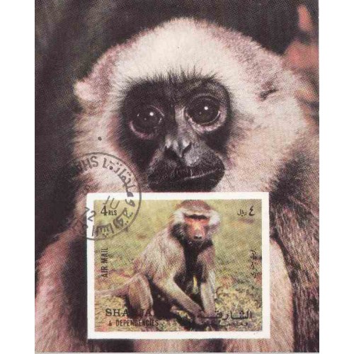 مینی شیت میمونها - با مهر CTO - پست هوائی - شارجه 1972