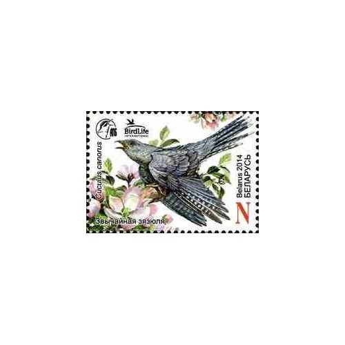 1 عدد تمبر پرنده سال - فاخته معمولی - بلاروس 2014