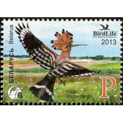 1 عدد تمبر پرنده سال - هدهد  - بلاروس 2013 قیمت 2.2 دلار