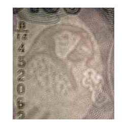 اسکناس 100 دلار - گویانا 2009 فیلیگران طوطی و نقشه