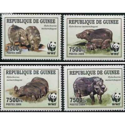 4 عدد تمبر WWF -  گراز وحشی - B - جمهوری گینه 2009 قیمت 11 دلار