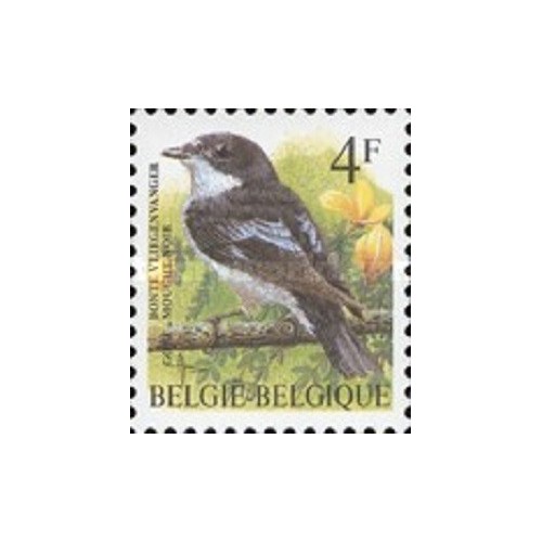 1 عدد تمبر سری پستی پرندگان - 4F - بلژیک 1996
