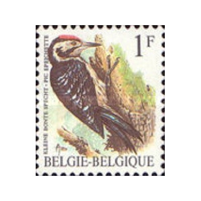 1 عدد تمبر سری پستی پرندگان - 1F - بلژیک 1990