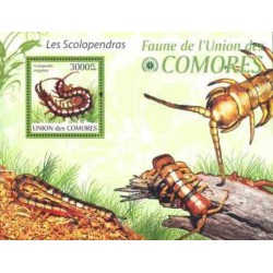 سونیرشیت حشرات - هزارپا - کومور 2009 قیمت 13.97 دلار