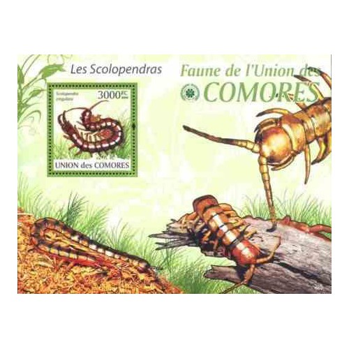 سونیرشیت حشرات - هزارپا - کومور 2009 قیمت 13.97 دلار