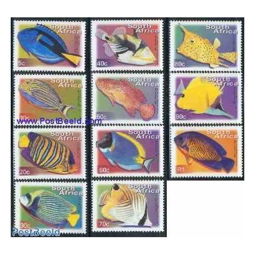 11 عدد تمبر سری پستی - ماهیها  - آفریقای جنوبی 2001
