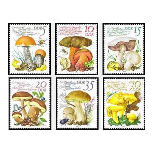6 عدد تمبر قارچها - جمهوری دموکراتیک آلمان 1980