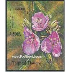 سونیرشیت گلهای استوائی - تانزانیا 1994 