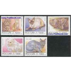 5 عدد تمبر گربه ها - گربه ایرانی - روسیه 1996