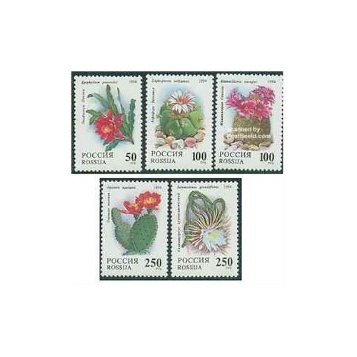 5 عدد تمبر گلهای کاکتوس - روسیه 1994 