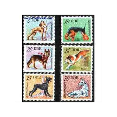 6 عدد تمبر سگها - جمهوری دموکراتیک آلمان 1976 