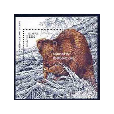 سونیرشیت سمور - بلاروس 1996