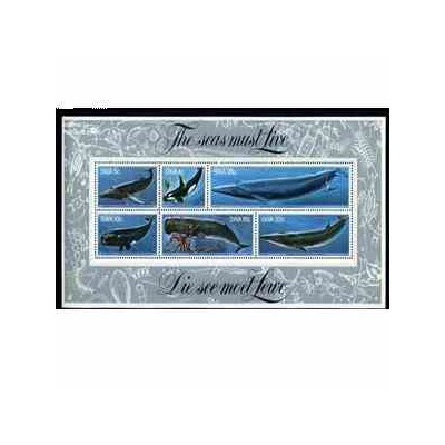 سونیرشیت وال ها - آفریقای جنوب غربی 1980 