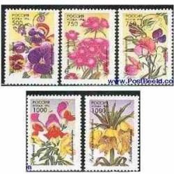5 عددتمبر گلهای باغچه روسیه 1996