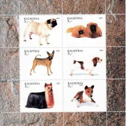 سونیرشیت سگها - کالمیکیا 2003