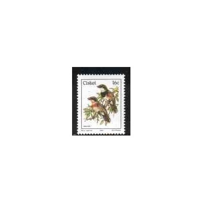 1 عدد تمبر سری پستی - پرندگان - آفریقای جنوبی 1987