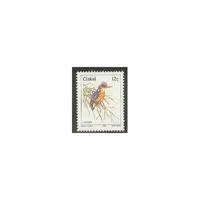 1 عدد تمبر سری پستی - پرندگان - آفریقای جنوبی 1985